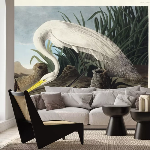 Fotobehang Grote zilverreiger II