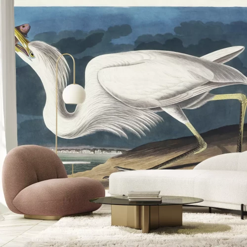 Fotobehang Grote zilverreiger