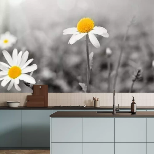 Fotobehang Zwart-witte madeliefjes met geel accent