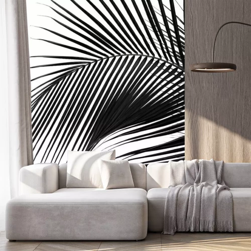 Fotobehang Zwart-wit motief met palmbladeren