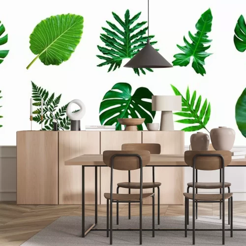 Sticker set of green monstera palm and tropical plant leaf isolated on white background for design elements, Flat lay