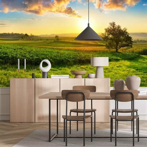 Fotobehang Weide bij een ondergaande zon