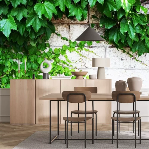 Fotobehang Planten die groeien op de muur