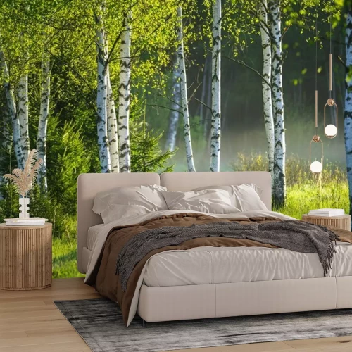 Fotobehang Lente in het berkenbos