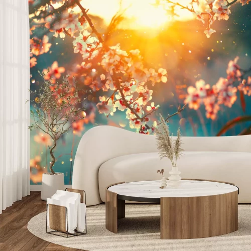 Fotobehang Kersenbloesems in de ochtendzon