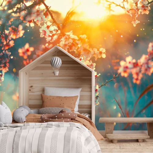 Fotobehang Kersenbloesems in de ochtendzon