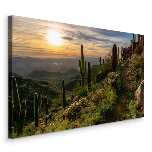 Canvas Woestijnvegetatielandschap bij zonsopgang