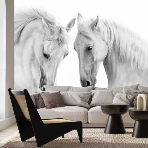 Sticker Paar grijze paarden op witte achtergrond