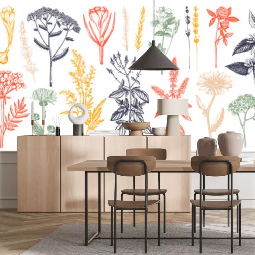 Fotobehang Kleurrijke compositie van veldplanten en kruiden op een witte achtergrond