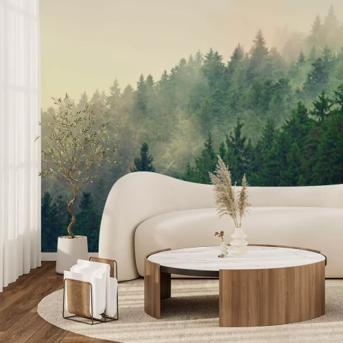 Fotobehang Mistig berglandschap