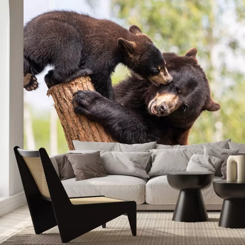 Fotobehang Beren op een boomstam