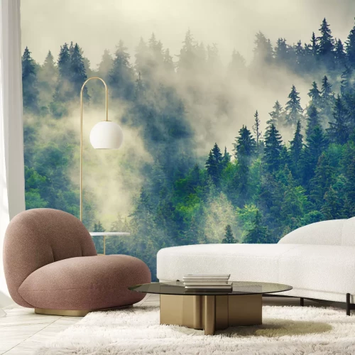 Fotobehang Mistig berglandschap met naaldbossen