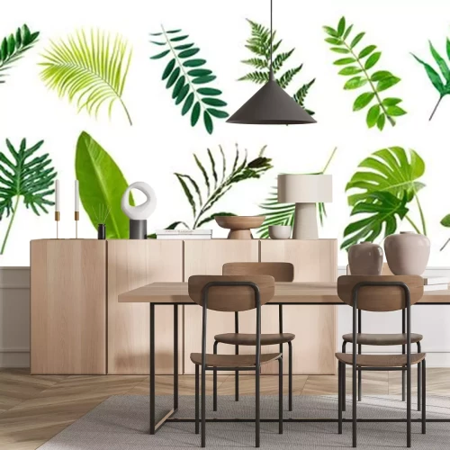 Sticker set of green monstera palm banana and tropical plant leaf on white background for design elements, Flat layd.clipping path