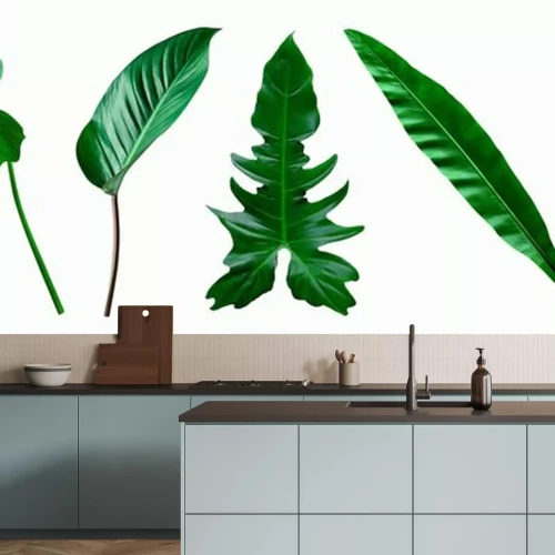 Sticker set of green tropical leaves on  white background for design elements, Flat lay