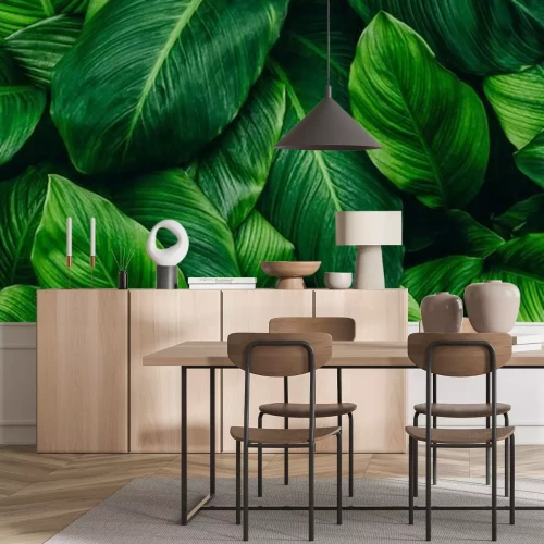 Sticker Abstract green leaf texture, nature background, tropical leaf