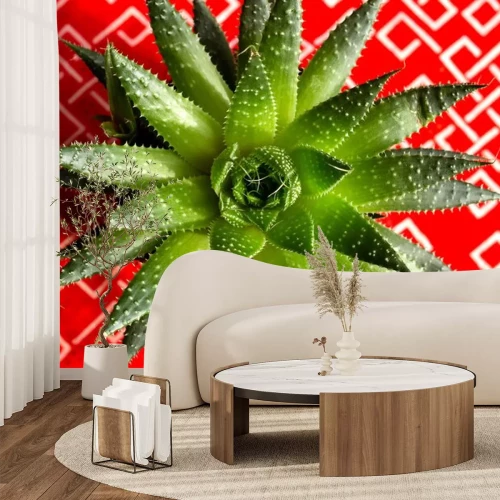 Sticker Aloe aristata succulent plant