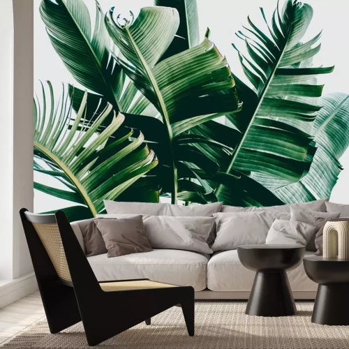 Sticker Donkergroene palmbladeren op een witte achtergrond