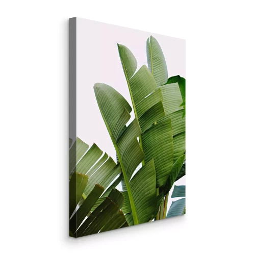 Canvas Groene palmbladeren op een lichte achtergrond