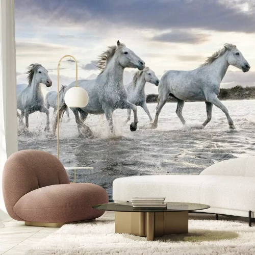 Fotobehang Witte paarden galopperen in het water