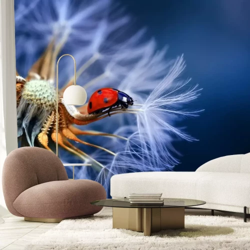 Sticker Lieveheersbeestje op een achtergrond van paardenbloemen