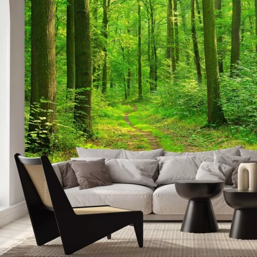 Fotobehang Een pad in een loofbos