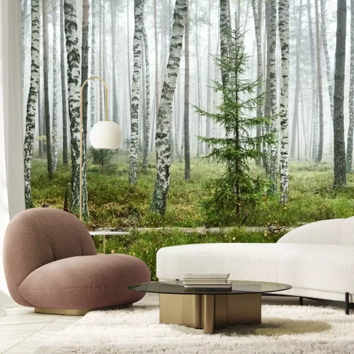 Fotobehang Dark atmospheric landscape of the evergreen forest in a fog at sunrise. Pine, spruce, maple, birch trees and colorful plants close-up. Ecology, autumn, ecotourism, environmental conservation in Europe