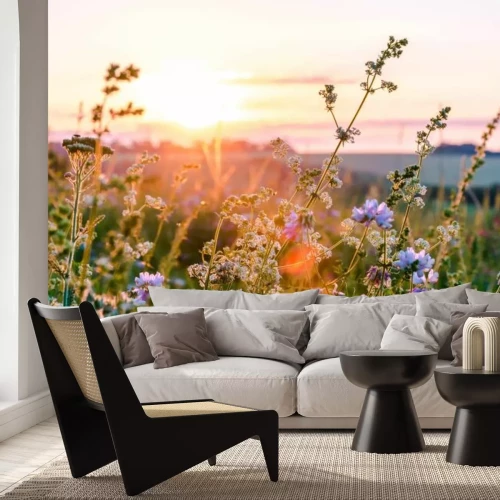 Fotobehang Zonsondergang boven een bloemenweide