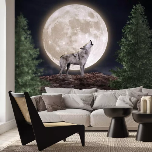 Fotobehang Wolf op achtergrond van de volle maan