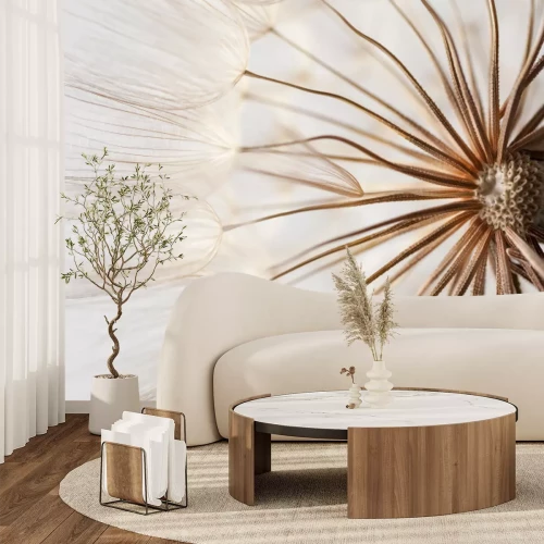 Fotobehang Macro-opname van paardenbloemzaden, botanisch plantenmotief