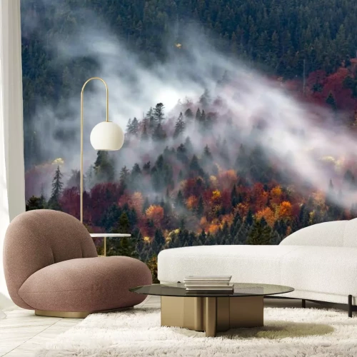 Fotobehang Naaldbos in de mist, herfstlandschap