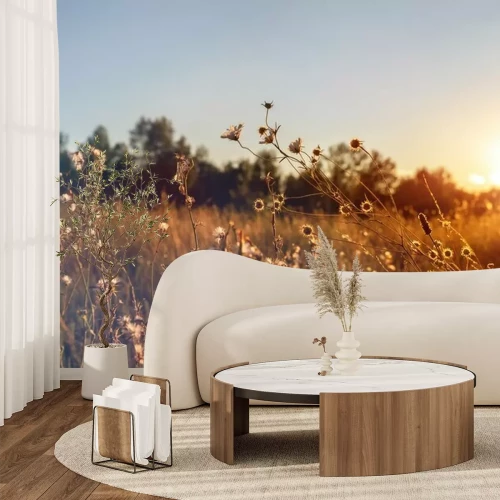 Fotobehang Wilde bloemen in de weide bij zonsondergang