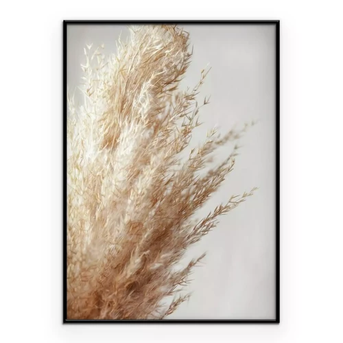 Poster Gedroogd siergras op een grijze achtergrond
