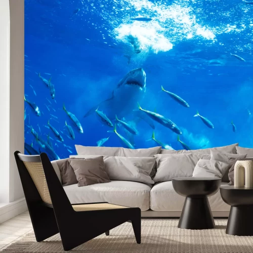 Fotobehang Haai en school vissen