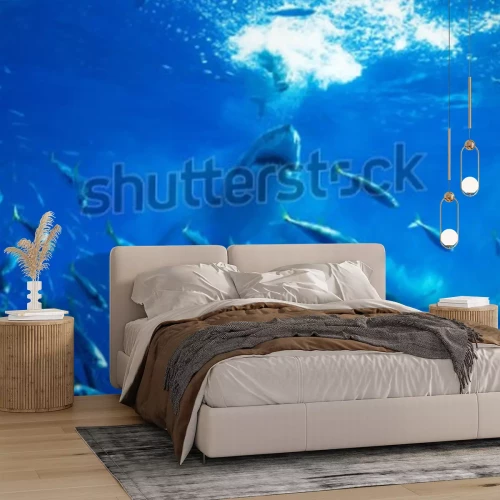 Fotobehang Haai en school vissen