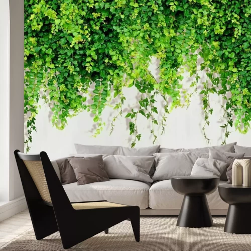 Fotobehang Groene 3D-plantenranken op een witte achtergrond