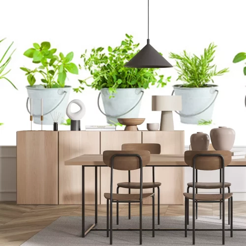 Fotobehang Groene planten kruiden in potten
