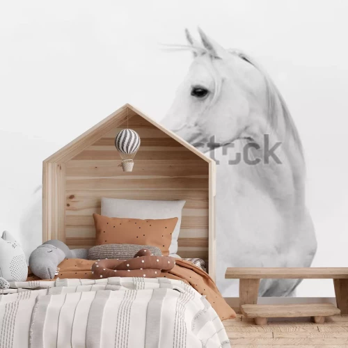 Fotobehang Arab horse in high key