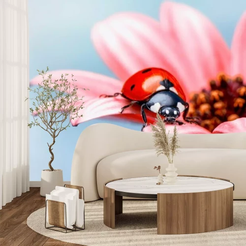 Sticker Rood lieveheersbeestje op roze bloemetje