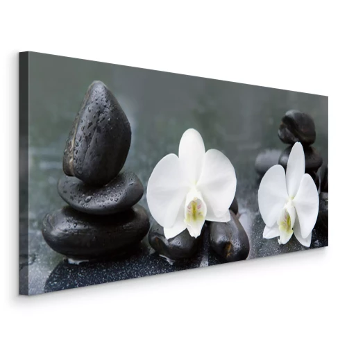 Canvas Witte orchideeënbloemen en stenen met waterdruppels