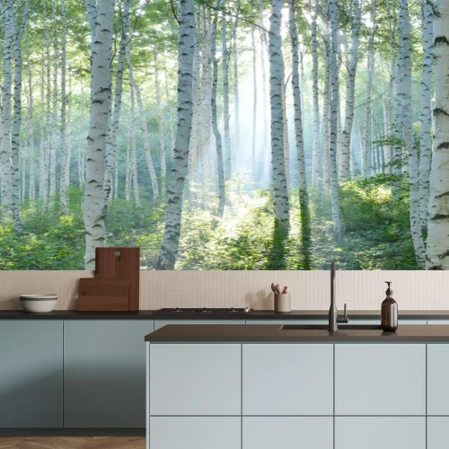 Fotobehang Zonnestralen in het berkenbos