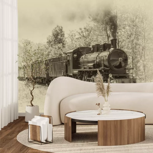 Fotobehang Een stoomlocomotief tegen de achtergrond van een bos