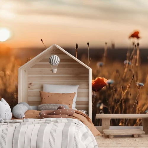 Fotobehang Een veld klaprozen bij zonsondergang