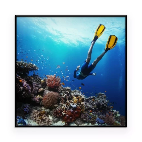 Poster Duiker in de oceaan nabij een koraalrif