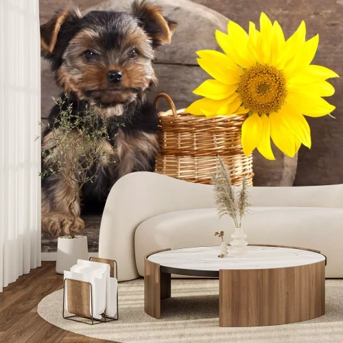 Sticker yorkshire terrier puppy en zonnebloem