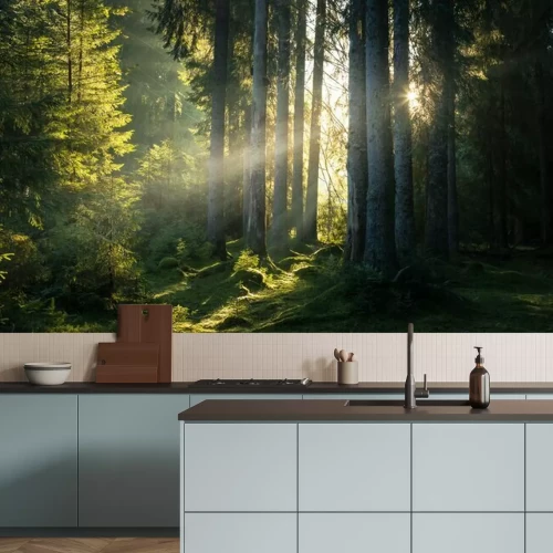 Fotobehang De zon breekt door de mist