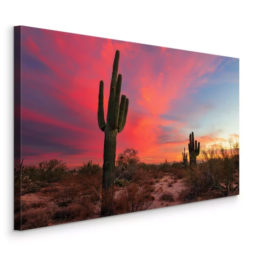 Canvas Cactussen in de woestijn bij zonsondergang
