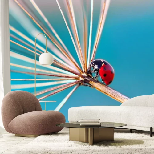 Sticker Lieveheersbeestje op een droge plant