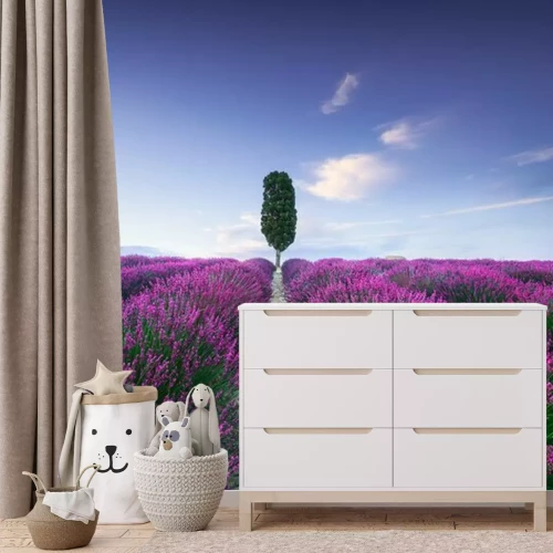 Fotobehang Lavendelvelden in Toscane