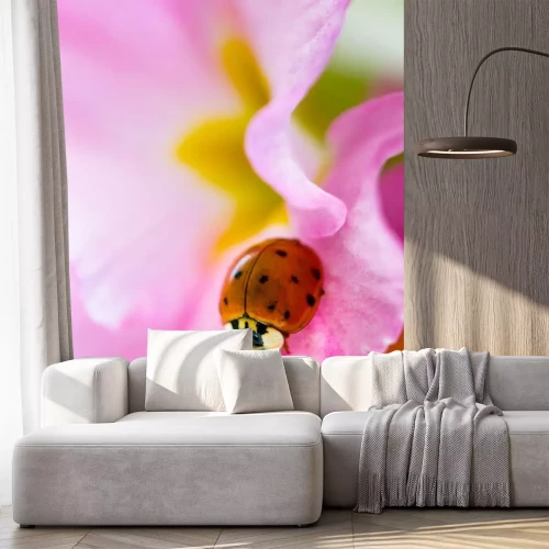 Sticker Klein lieveheersbeestje op een roze sleutelbloem