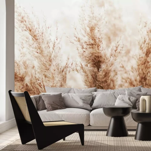 Fotobehang Boho Pampasgras